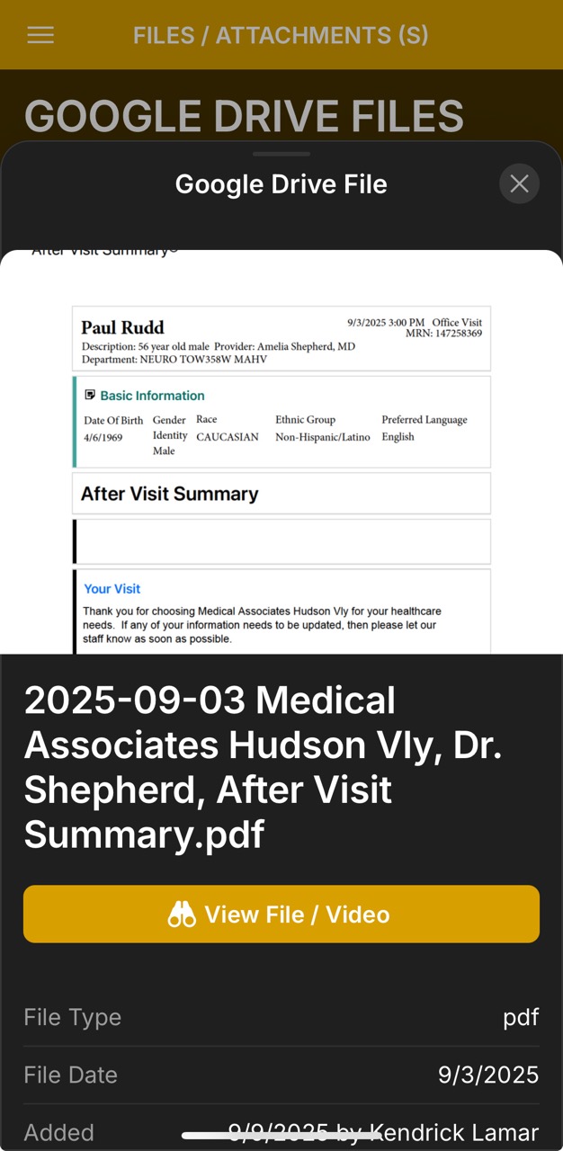 Files & Attachments Detail Page (Amelia Shepherd After Visit Summary)